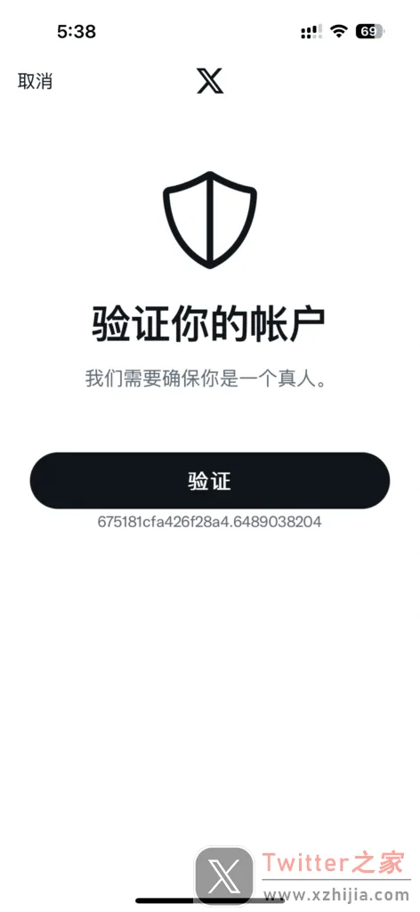 iPhone 上 X 的验证你的帐户页面